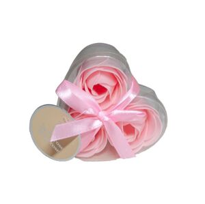 Accentra - Mydlové kvety ruže