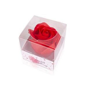 Accentra - Mýdlový kvet ruže