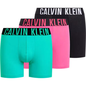 Calvin Klein 3 PACK - pánske boxerky NB3609A-LXP L