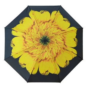 Blooming Brollies Dámsky skladací dáždnik EDRFFSF