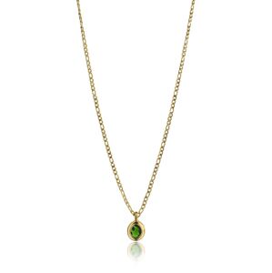 Emily Westwood Nadčasový pozlátený náhrdelník so zirkónom Laila EWN23090G