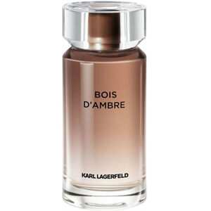 Karl Lagerfeld Bois d`Ambre - EDT - TESTER 100 ml
