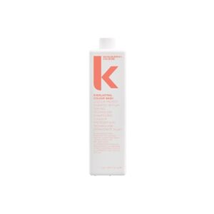 Kevin Murphy Šampón na ochranu farby vlasov Everlasting Colour Wash (Colour Protect Shampoo) 250 ml