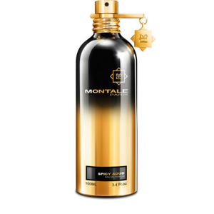 Montale Spicy Aoud - EDP 100 ml