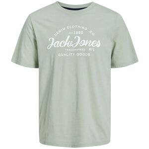 Jack&Jones Pánske tričko JJFOREST Standard Fit 12247972 Desert Sage XXL