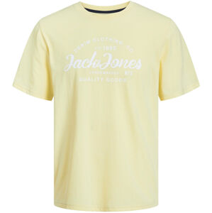 Jack&Jones Pánske tričko JJFOREST Standard Fit 12247972 French Vanilla M