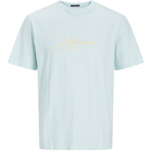 Jack&Jones Pánske tričko JORARUBA Standard Fit 12255452 Skylight S