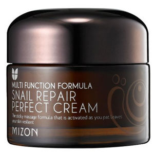 Mizon Pleťový krém s filtrátom hlemýždího sekrétu 60% pre problematickú pleť (Snail Repair Perfect Cream) 50 ml