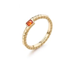 Rosato Elegantný pozlátený prsteň s kubickým zirkónom Cubica RZCU100 52 mm