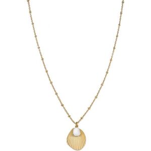 Rosefield Pozlátený oceľový náhrdelník s mušľou Amber JSPNG-J159