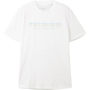 Tom Tailor Pánske tričko Regular Fit 1037653.20000 XL