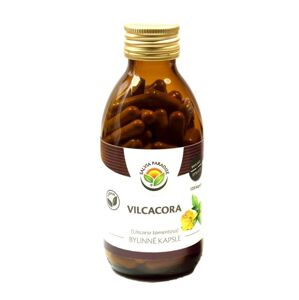 Salvia Paradise Vilcacora - Uncaria kapsule 120 ks
