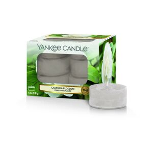 Yankee Candle Aromatické čajové sviečky Camellia Blossom 12 x 9,8 g